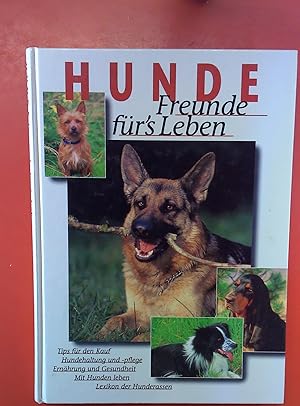 Bild des Verkufers fr Hunde. Freunde frs Leben zum Verkauf von biblion2