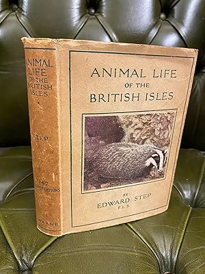 Animal Life of the British Isles : A Guide to the Mammals, Reptiles and Batrachians of Wayside an...