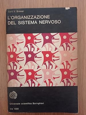 L' organizzazione del sistema nervoso