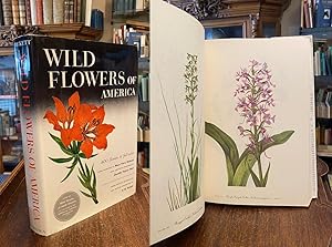 Wild Flowers of America : 400 flowers in full color from paintings by Mary Vaux Walcott as publis...