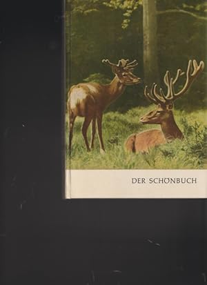 Eine Wanderung durch den Schönbuch.