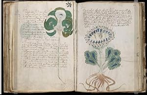 The Voynich Manuscript Manuskript Manuscrito Facsimile Faksimile Edition in brand new condition +...