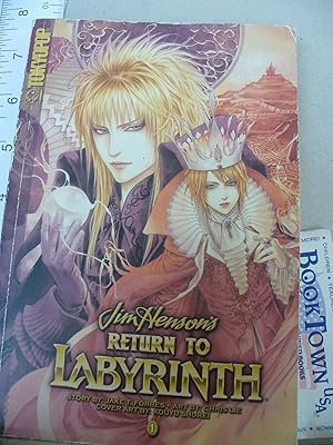 Return To Labyrinth Volume I