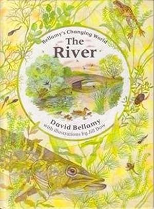 Seller image for The River (David Bellamy's Changing World S.) for sale by WeBuyBooks