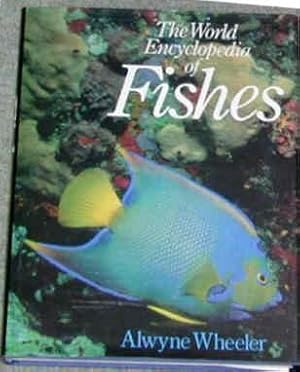 Seller image for World Encyclopaedia of Fishes for sale by WeBuyBooks