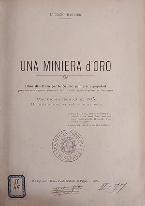 UNA MINIERA D'ORO