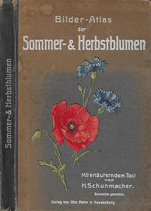 Image du vendeur pour Sommer- und Herst-Blumen. Bilder-Atlas mit erlauterndem Text mis en vente par Biblioteca di Babele