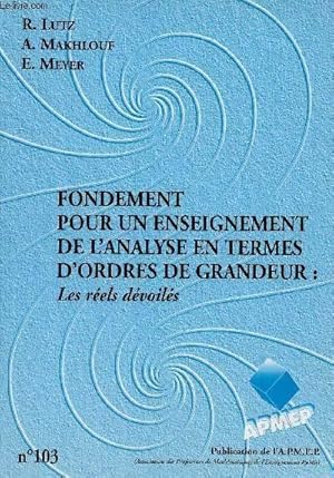 Imagen del vendedor de Fondements pour un enseignement de l'analyse en termes d'ordres de grandeur : Les r?els d?voil?s - Apmep a la venta por Book Hmisphres