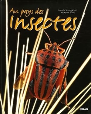 Au pays des insectes - Antoine Brin