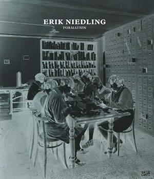 Image du vendeur pour Erik Niedling Formation mis en vente par Berliner Bchertisch eG