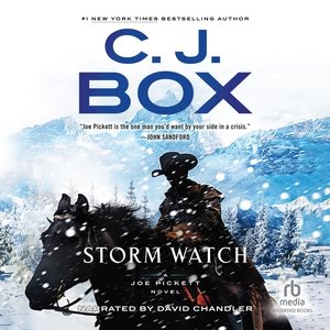 Image du vendeur pour Storm Watch mis en vente par GreatBookPrices