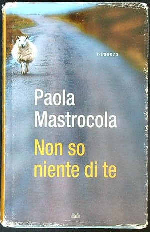 Seller image for Non so niente di te for sale by Librodifaccia