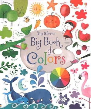 Imagen del vendedor de Big Book of Colors a la venta por GreatBookPrices