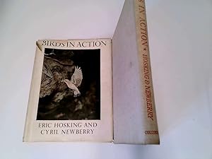 Seller image for Birds in Action for sale by Goldstone Rare Books