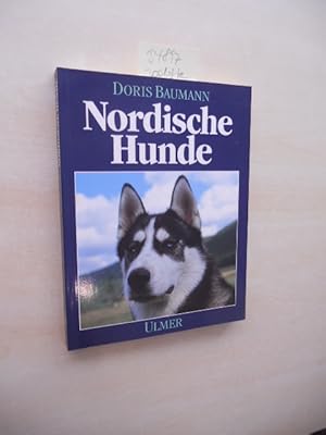 Nordische Hunde. Nordische Jagdhunde, japanische Spitze, nordische Hüterassen, Schlittenhunde.