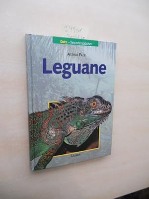 Leguane.
