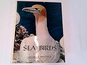 Bild des Verkufers fr Sea birds zum Verkauf von Goldstone Rare Books