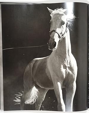 American Thoroughbred, Signed