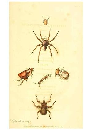 Seller image for Reproduccin/Reproduction 49535305192: An introduction to entomology, or, Elements of the natural history of insects : with plates /. London :Printed for Longman, Hurst, Rees, Orme, and Brown,1816-1826. for sale by EL BOLETIN