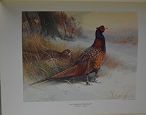 The natural history of british game birds.