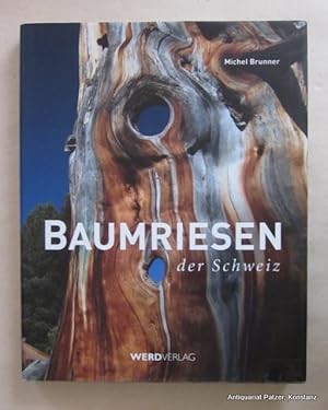 Immagine del venditore per Baumriesen der Schweiz. 2. Auflage. Zrich, Werd Verlag, 2010. 4to. Durchgngig mit oft ganzseitigen farbigen fotografischen Abbildungen. 239 S. Or.-Pp. mit Schutzumschlag; dieser am Vorderdeckel mit geklebtem Einriss. (ISBN 9783859326293). venduto da Jrgen Patzer