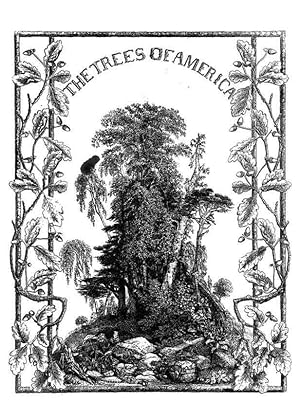 Seller image for Reproduccin/Reproduction 48637124691: The trees of America. Boston,W. White[1855-58]. for sale by EL BOLETIN