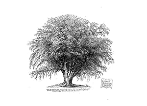 Seller image for Reproduccin/Reproduction 48637269112: The trees of America. Boston,W. White[1855-58]. for sale by EL BOLETIN
