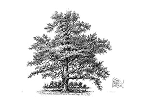Seller image for Reproduccin/Reproduction 48637266902: The trees of America. Boston,W. White[1855-58]. for sale by EL BOLETIN