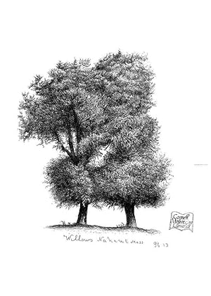 Seller image for Reproduccin/Reproduction 48637132331: The trees of America. Boston,W. White[1855-58]. for sale by EL BOLETIN