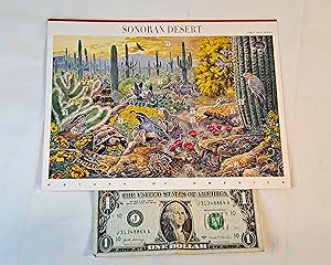 Image du vendeur pour Sonoran Desert USA Postage Stamps (1999 1st Sheet Issued in Series) mis en vente par Bargain Finders of Colorado