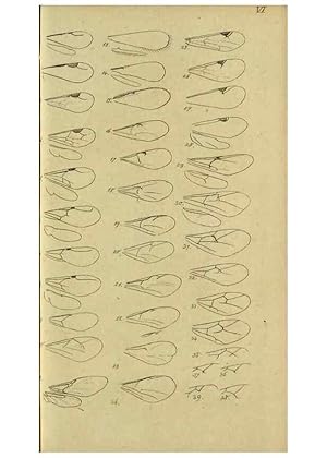 Immagine del venditore per Reproduccin/Reproduction 9784689444: Nomenclator Entomologicus. Regensburg,F. Pustet,1835-40. venduto da EL BOLETIN