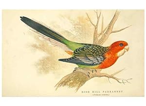 Bild des Verkufers fr Reproduccin/Reproduction 7979746764: The speaking parrots:. London,L.U. Gill[1884] zum Verkauf von EL BOLETIN