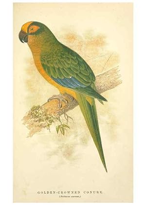 Bild des Verkufers fr Reproduccin/Reproduction 7979746196: The speaking parrots:. London,L.U. Gill[1884] zum Verkauf von EL BOLETIN