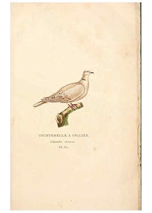 Seller image for Reproduccin/Reproduction 6896450698: Les pigeons. Paris,Audot,1824. for sale by EL BOLETIN