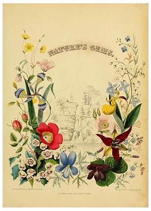 Seller image for Reproduccin/Reproduction 6984396921: American wild flowers in their native haunts. G.S. Appleton for sale by EL BOLETIN