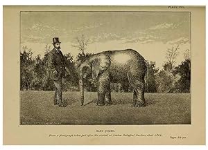 Immagine del venditore per Reproduccin/Reproduction 7583939408: The ivory king;. New York,C. Scribners sons,1886. venduto da EL BOLETIN