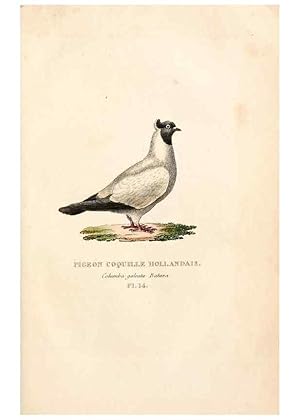 Imagen del vendedor de Reproduccin/Reproduction 6896444078: Les pigeons. Paris,Audot,1824. a la venta por EL BOLETIN