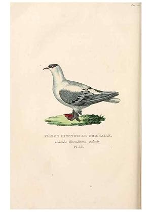 Seller image for Reproduccin/Reproduction 7042541125: Les pigeons. Paris,Audot,1824. for sale by EL BOLETIN
