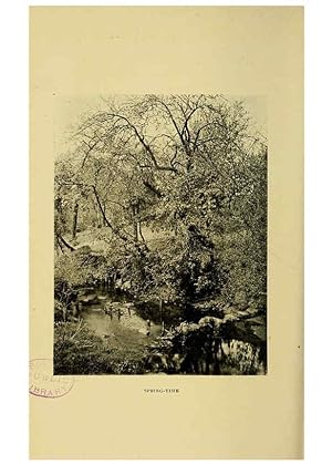Image du vendeur pour Reproduccin/Reproduction 6376507351: Trees in nature, myth and art London :Methuen & Co.,1907 mis en vente par EL BOLETIN