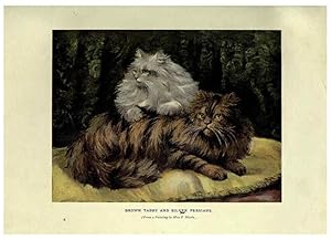 Imagen del vendedor de Reproduccin/Reproduction 6263033095: The book of the cat London,Cassell and company, limited,1903 a la venta por EL BOLETIN