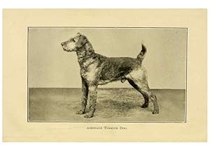 Seller image for Reproduccin/Reproduction 6959843594: The dog in health, accident, and disease,. Philadelphia,H. Altemus company[c1908] for sale by EL BOLETIN