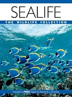 Bild des Verkufers fr Sealife (Wildlife Collection) zum Verkauf von WeBuyBooks