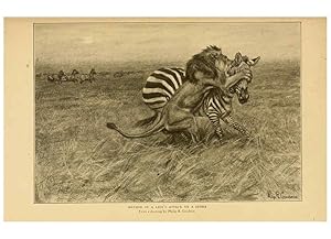 Seller image for Reproduccin/Reproduction 6254862808: Life-histories of African game animals New York,C. Scribners Sons,1914 for sale by EL BOLETIN