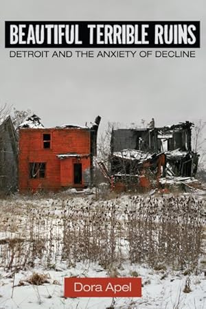 Seller image for Beautiful Terrible Ruins : Detroit and the Anxiety of Decline for sale by GreatBookPrices