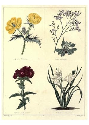 Image du vendeur pour Reproduccin/Reproduction 6028487871: The botanic garden London :Simpkin & Marshall,1825- mis en vente par EL BOLETIN