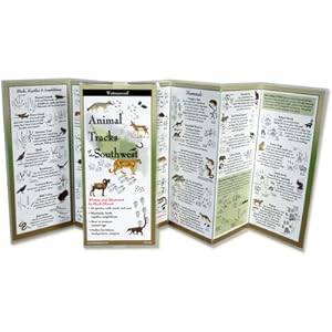 Seller image for Animal Tracks of the Southwest (Poster) for sale by BargainBookStores