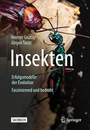 Seller image for Insekten - Erfolgsmodelle Der Evolution : Faszinierend Und Bedroht -Language: German for sale by GreatBookPrices