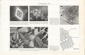 Imagen del vendedor de LAMINA ESPASA 36721: Imgenes de cristalografia a la venta por EL BOLETIN