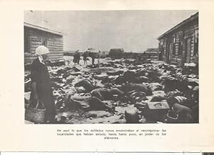 Seller image for LAMINA 25323: Muertos durante la Segunda Guerra Mundial for sale by EL BOLETIN