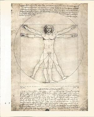 Bild des Verkufers fr LAMINA 25394: Estudio de un cuerpo humano, por Leonardo da Vinci zum Verkauf von EL BOLETIN